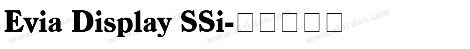 Evia Display SSi字体转换